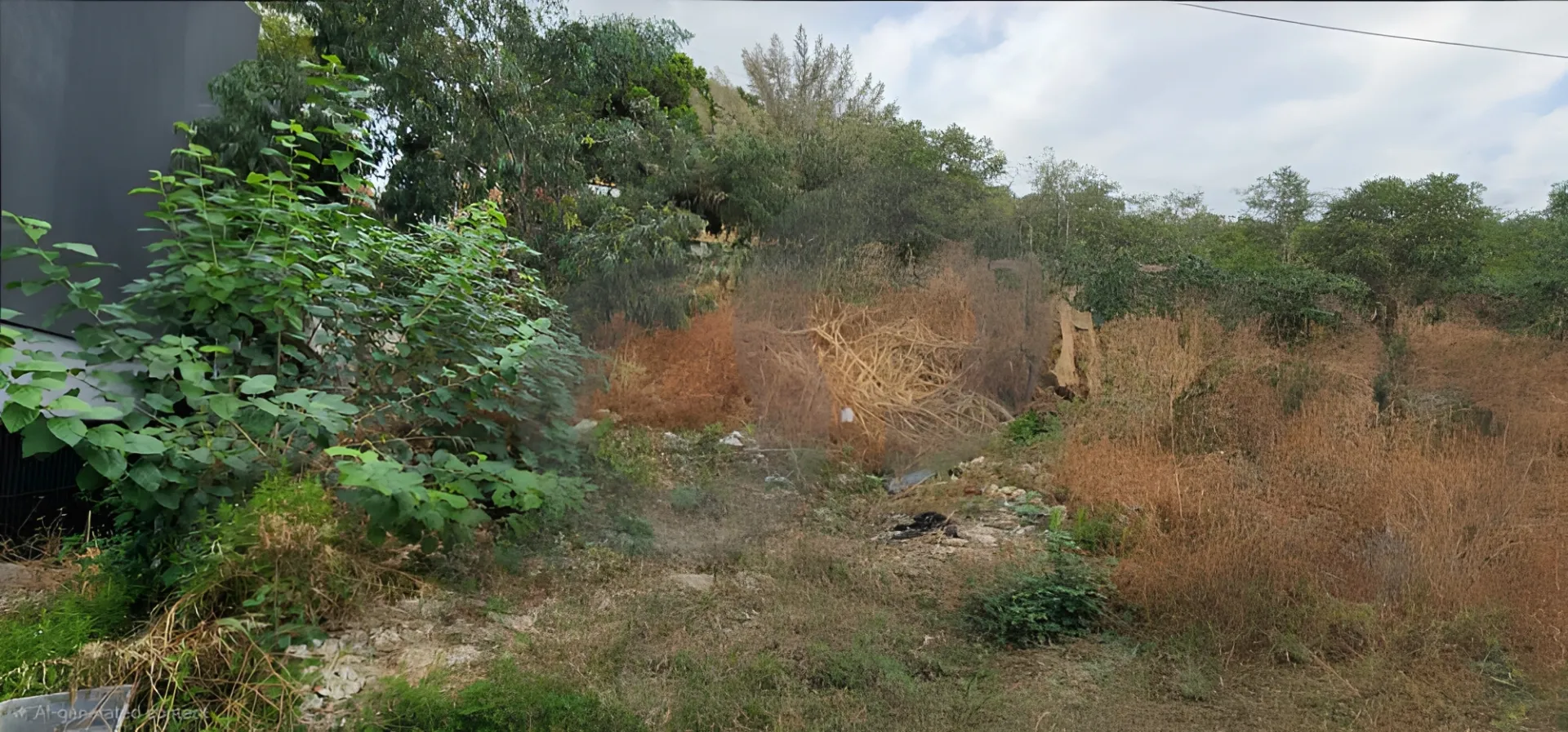 Land for Rent in Mazraat Yachoua