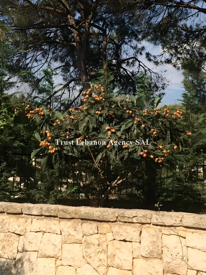 Villa for Sale in Baabda, Araya