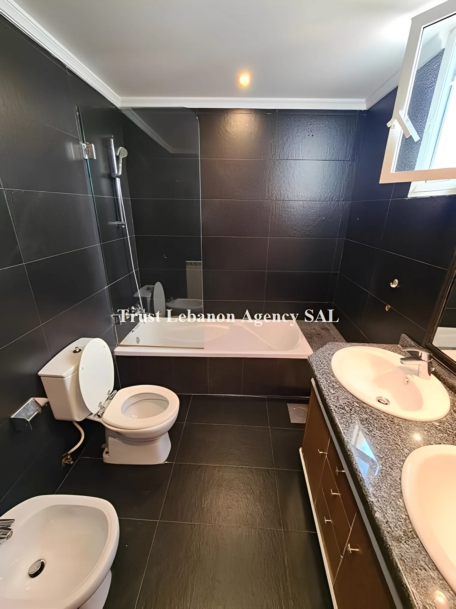 Apartment for Rent in Ashrafieh Beirut Lebanon