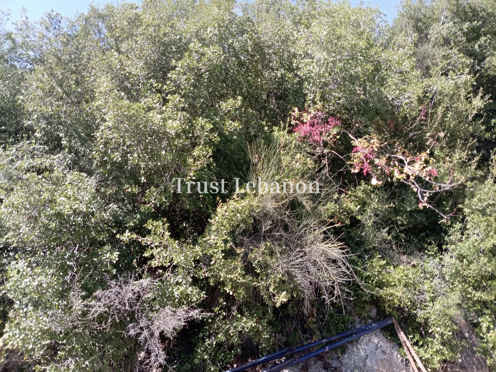 Residential Land for sale in Batroun, Lebanon
