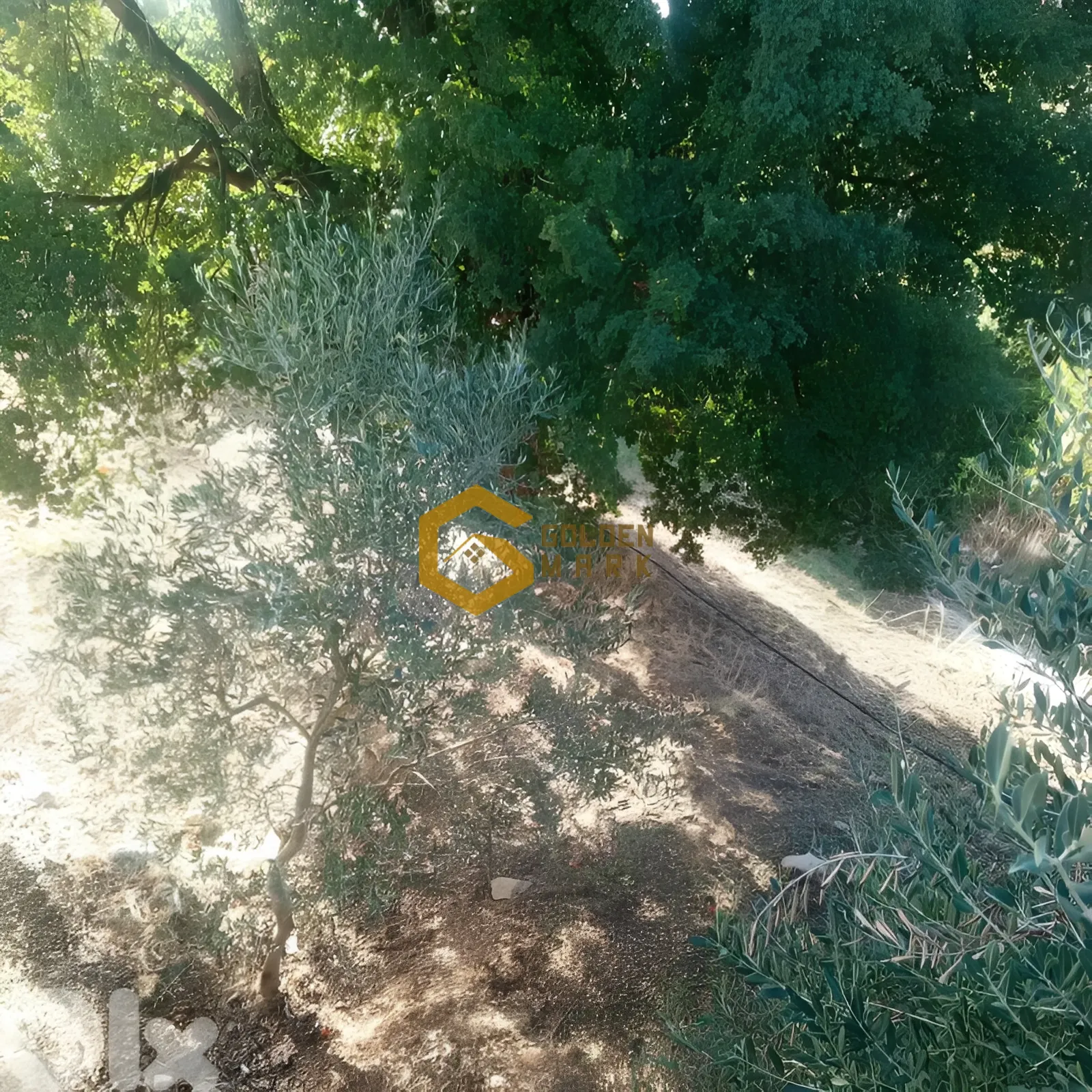 Land for Sale in Kfar Baal