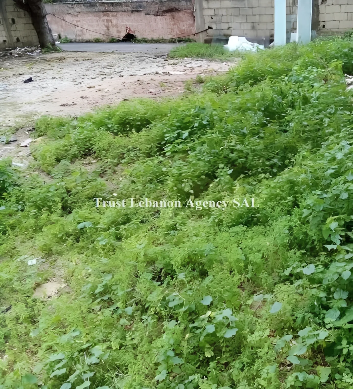 Land for Sale in Ain El Tineh Beirut