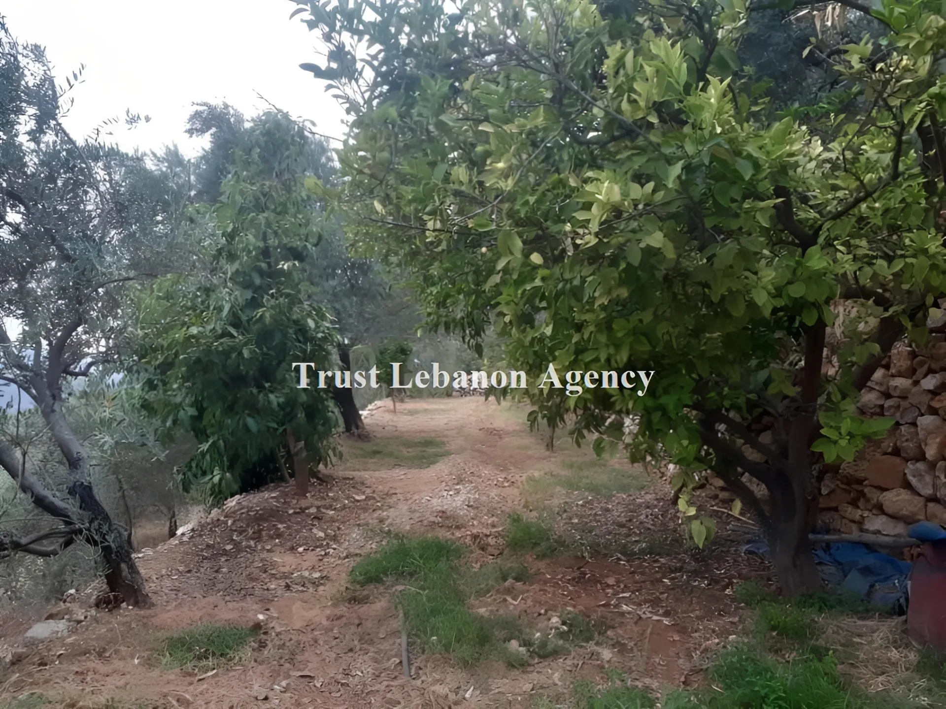 Land for Sale in Jezzine, Lebanon