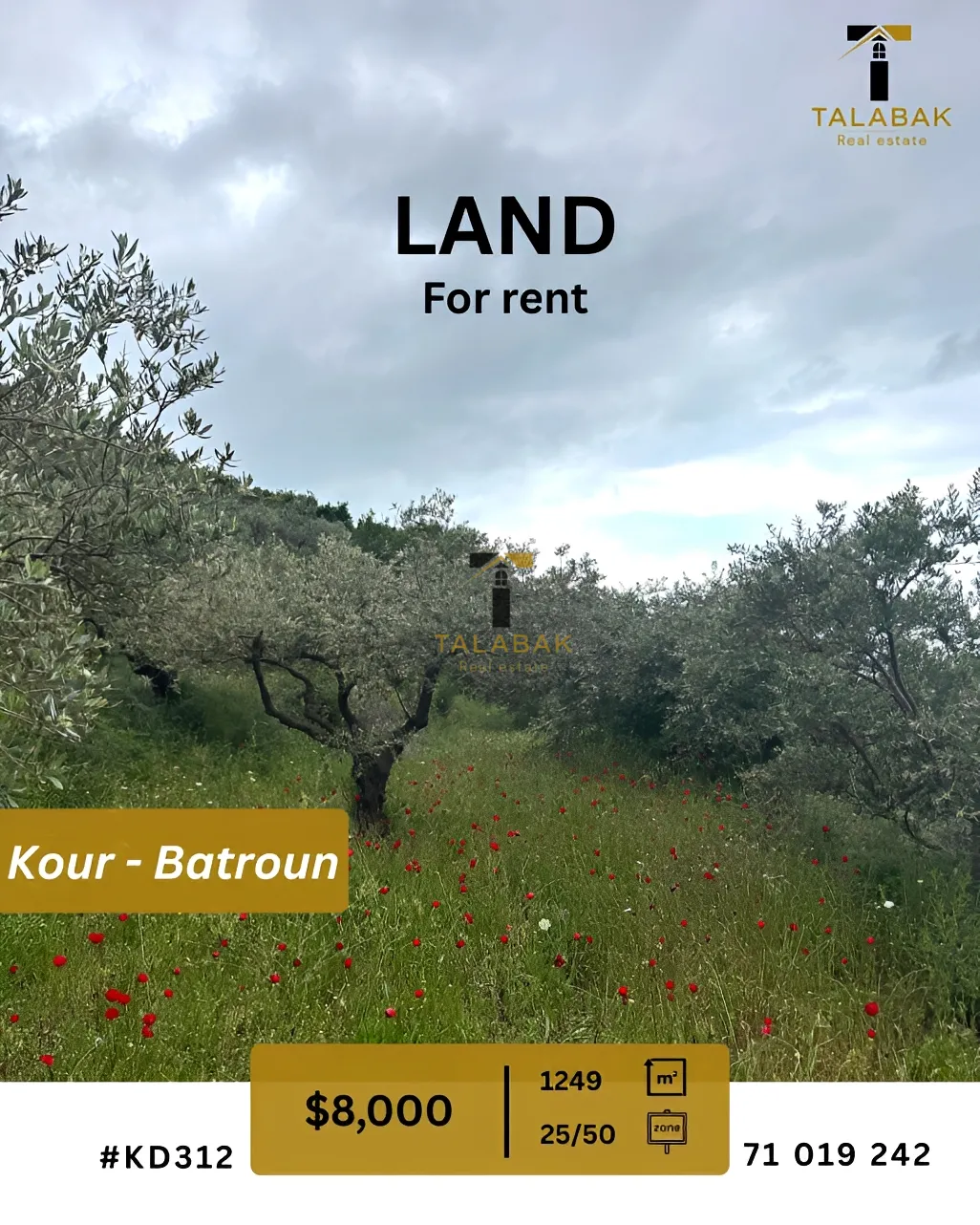 Residential Land for rent in Kour, Lebanon