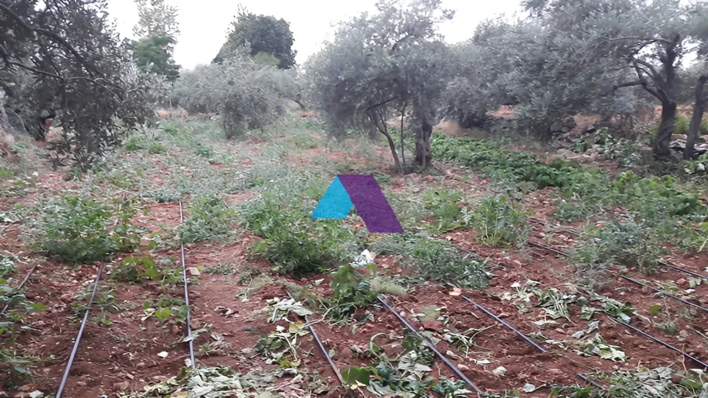 Land for Sale in Aamchit