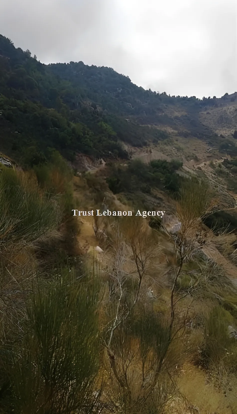 Land for Sale in Keserwan Nahr el Dehab
