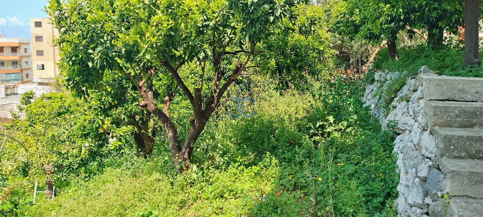 Land for sale in Sahel alma, lebanon
