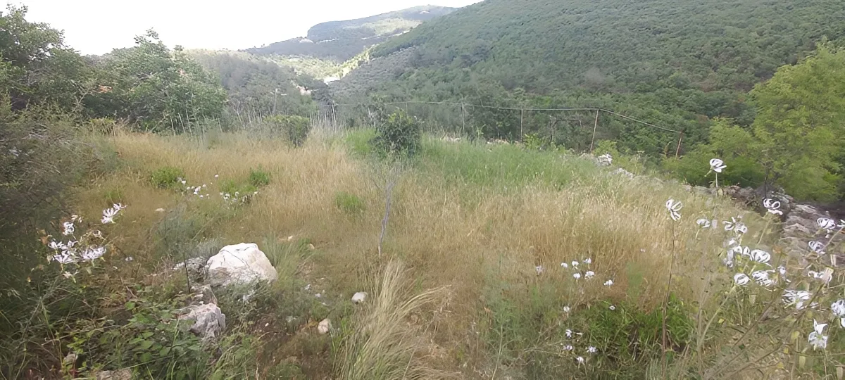 Land for Sale in Jezzine, Lebanon
