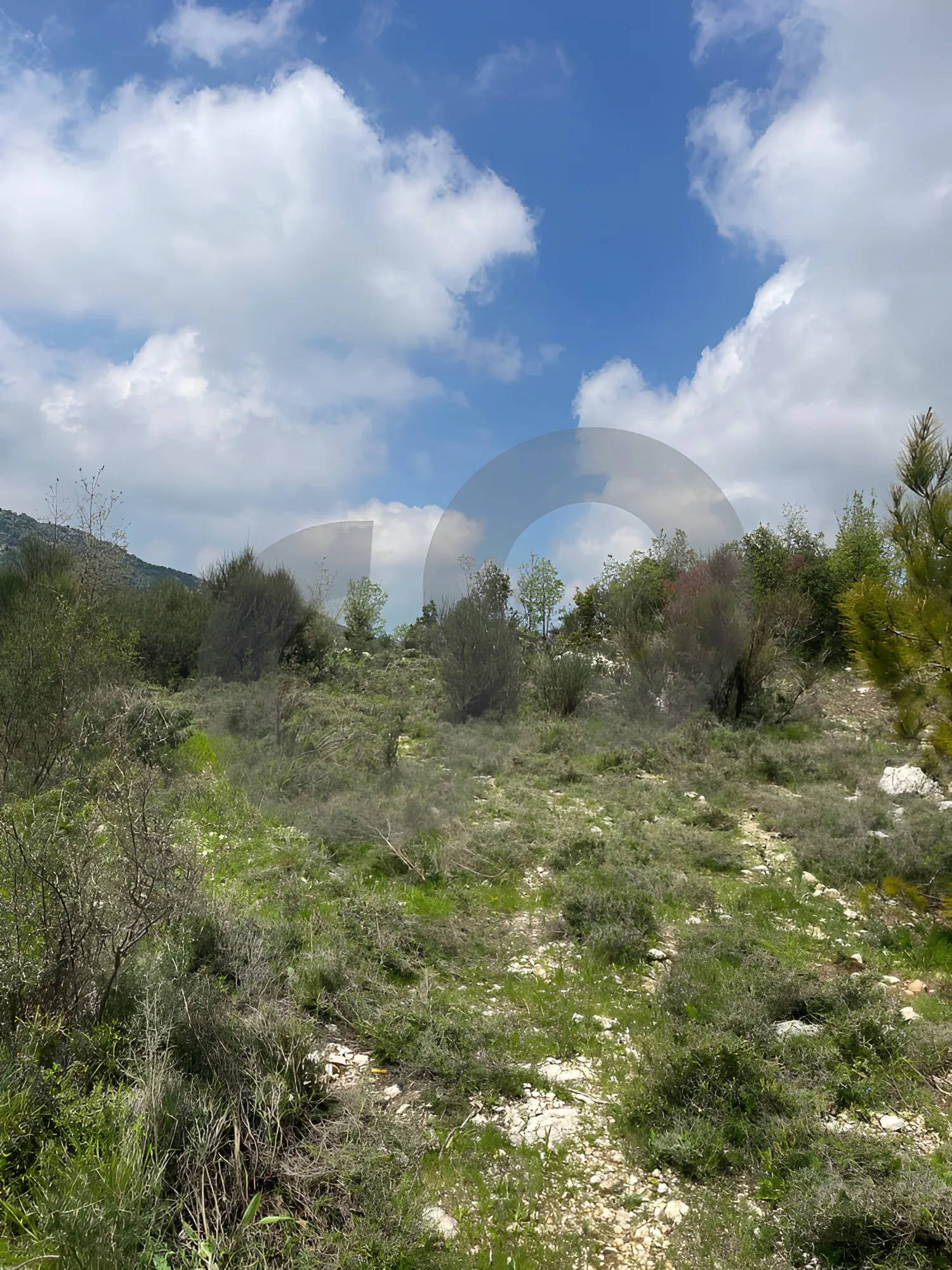 Land for Sale in Lehfed
