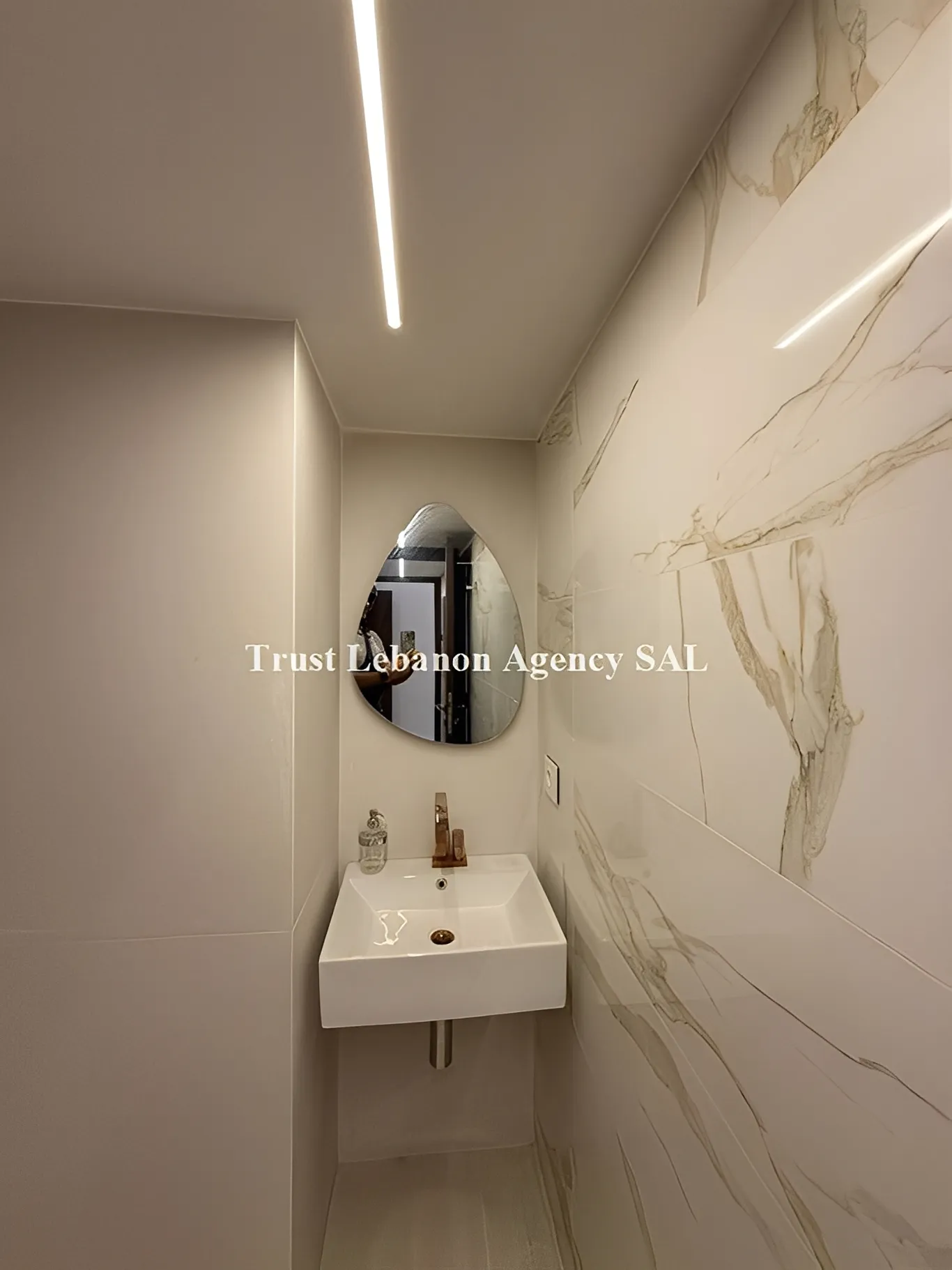 Apartment for Rent in Ashrafieh Beirut Lebanon