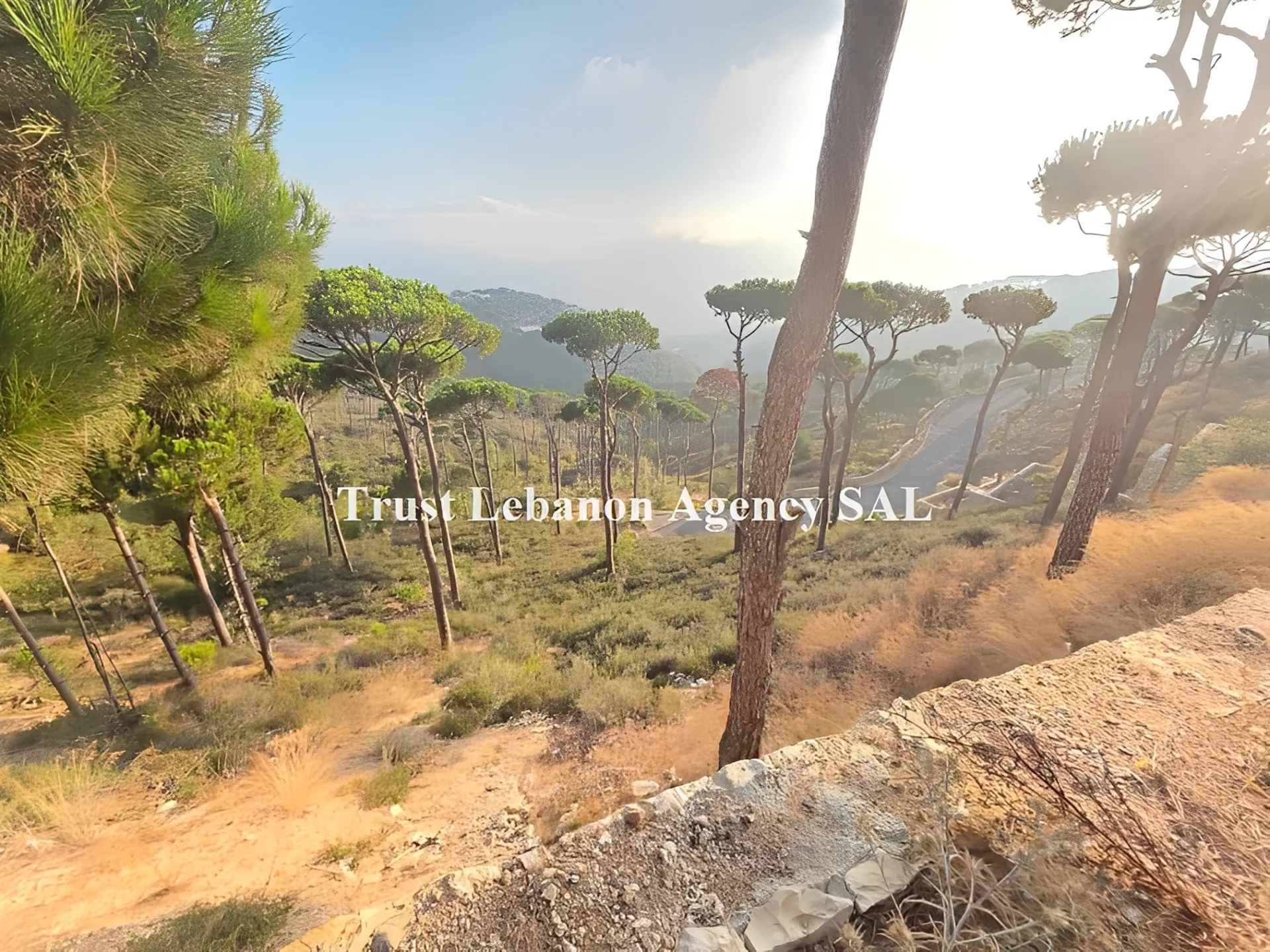 Land for Sale in Metn Ayroun Lebanon