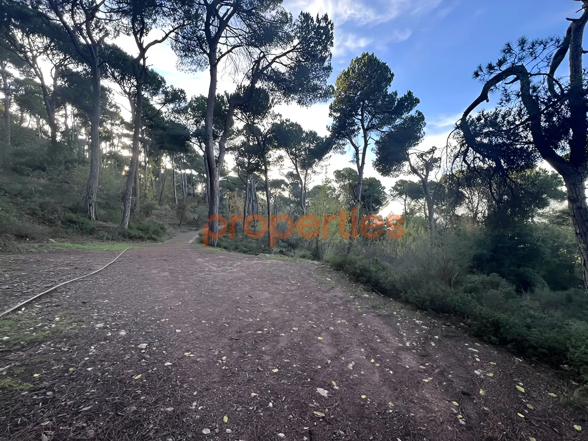 Land for Sale in Bharsaf
