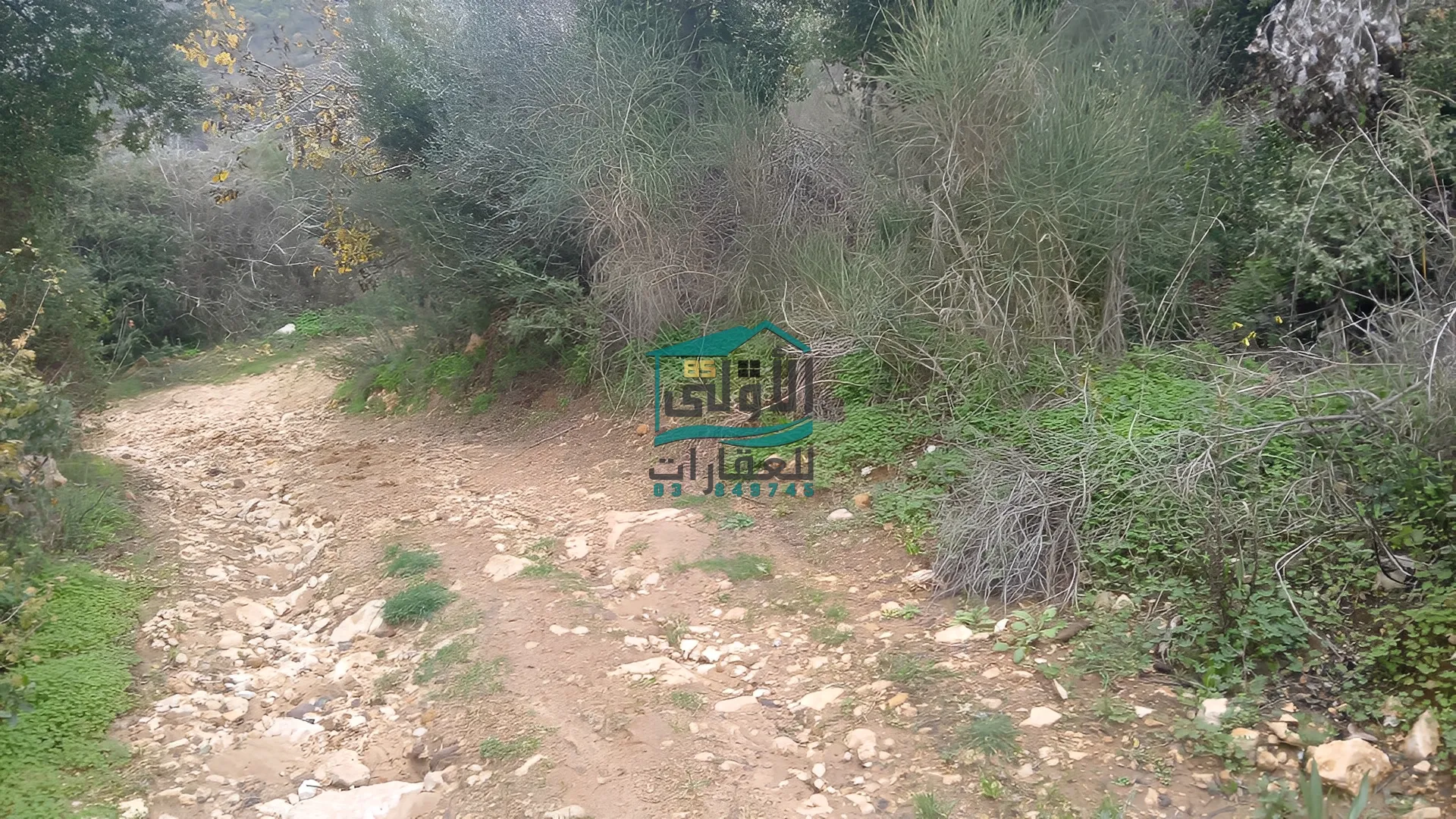 Land in Daqqoun, lebanon