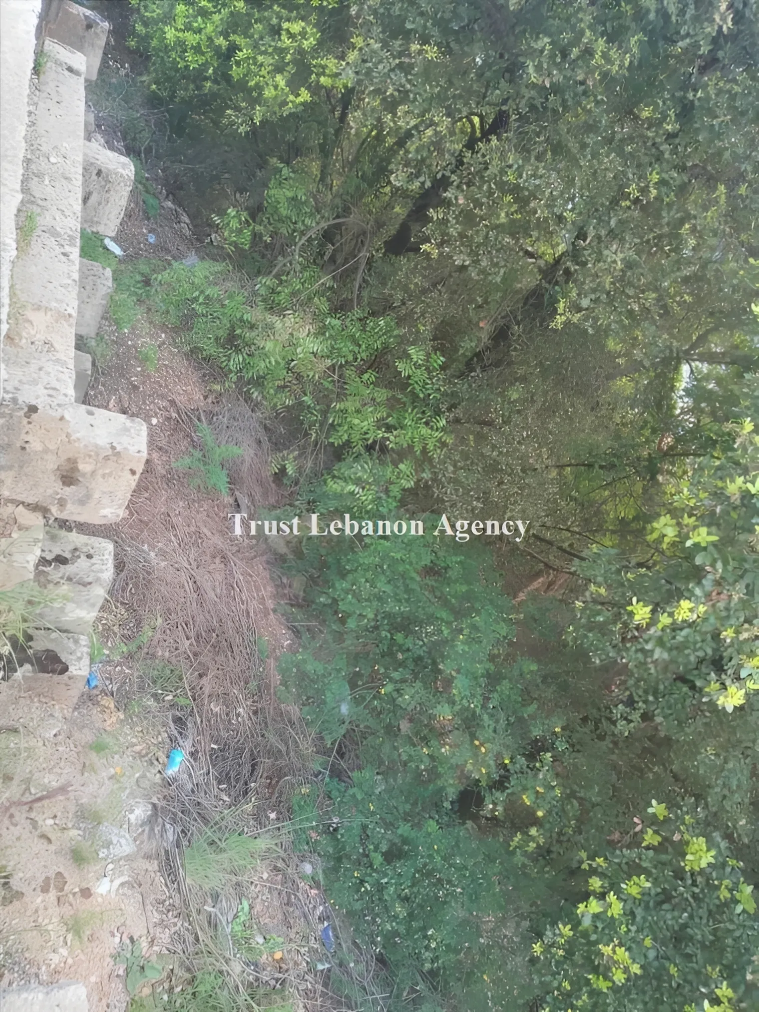 Land for Sale in Keserwan Meerab Lebanon