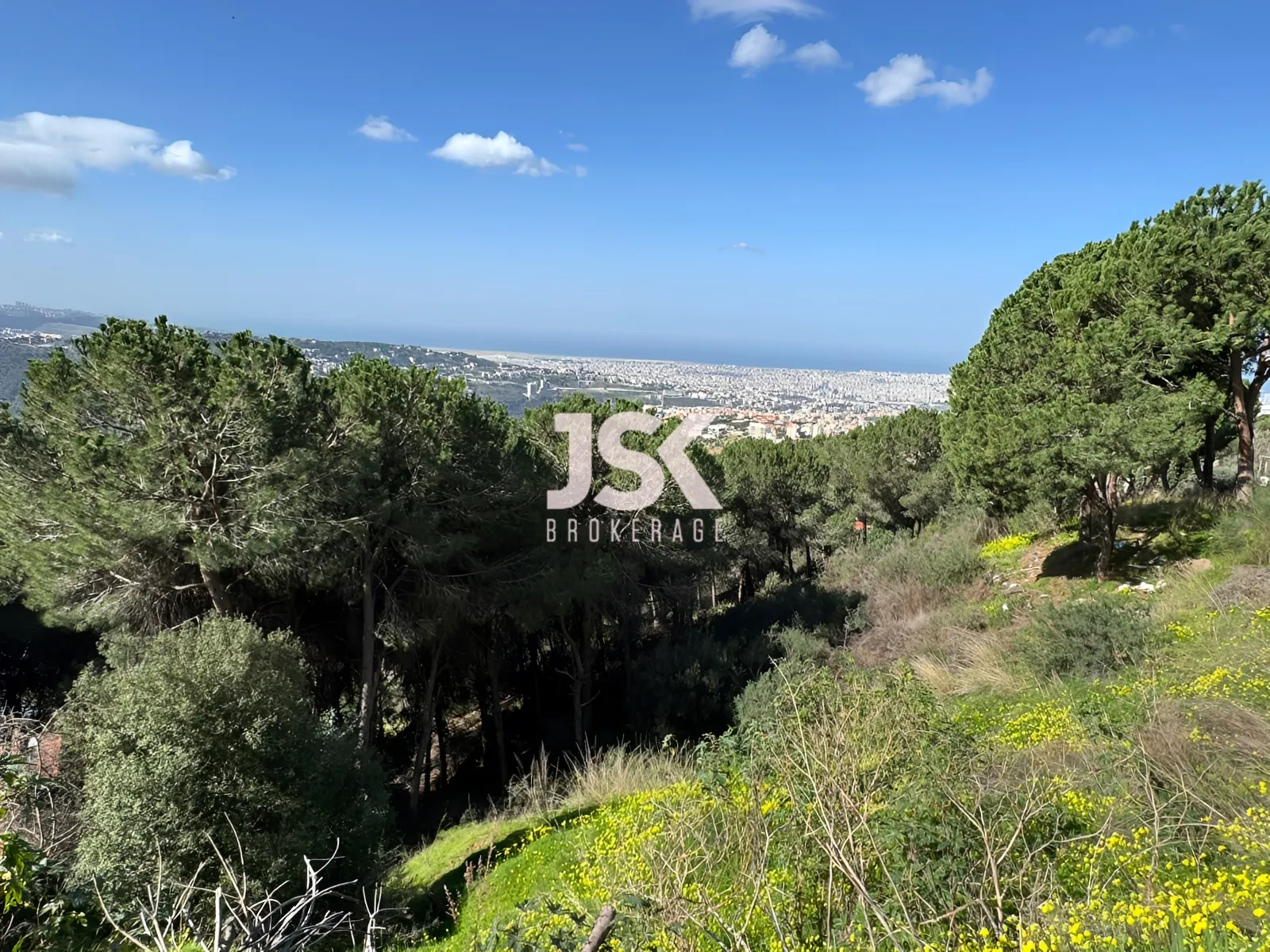 Land for Sale in Ain Saadeh
