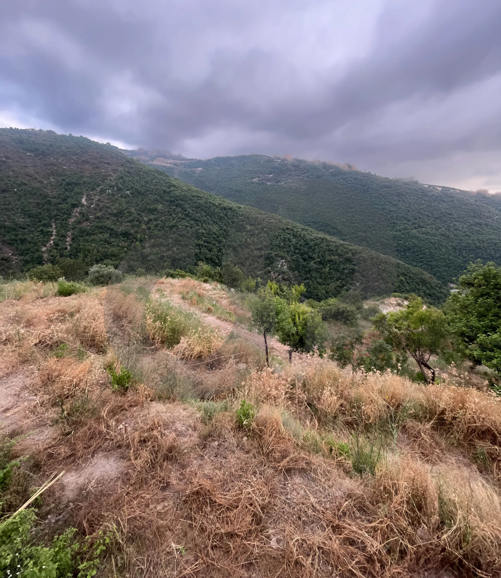 Land for Sale in Edde