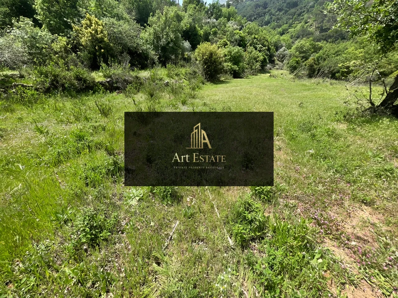 Land for sale in Ras el harf, lebanon