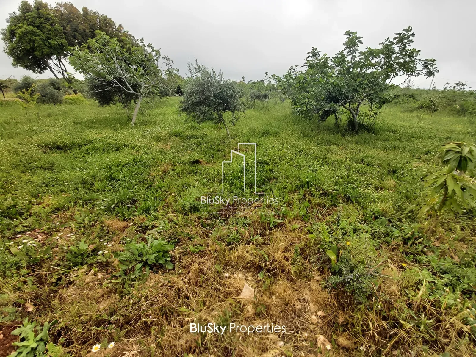 Apartment for Sale in Maad - 1 bed, 1 bath