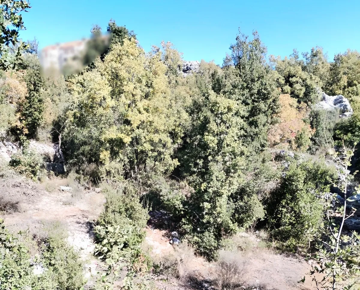 Land for Sale in Faitroun, Lebanon