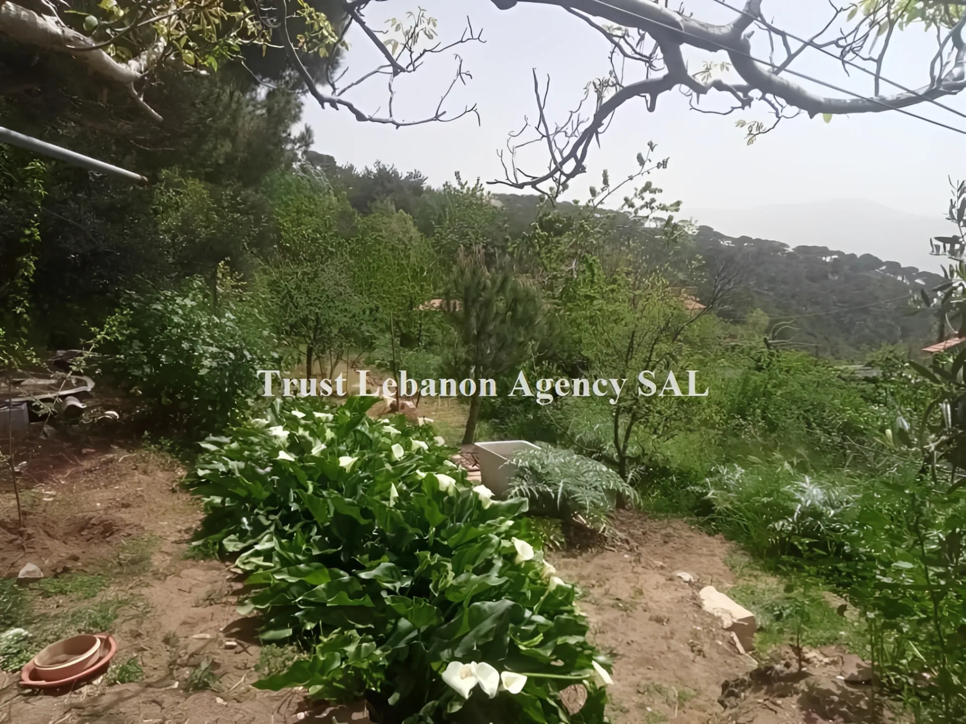 Land for Sale in Metn Douar Lebanon