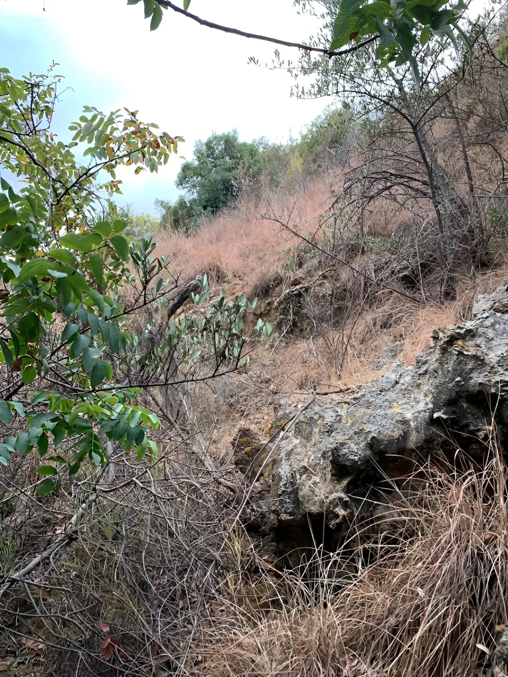 Land for sale in Haret El Sett