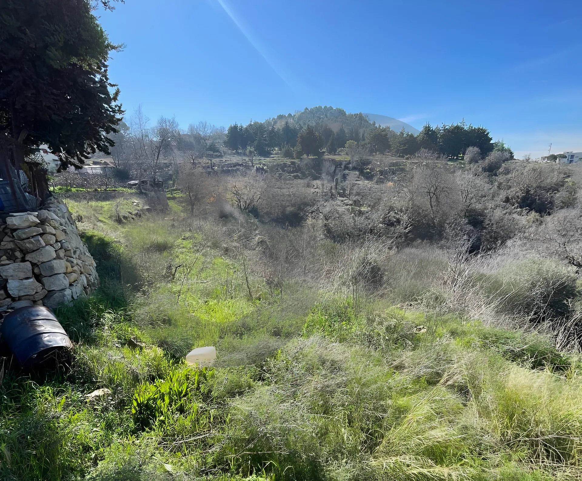 Land for Sale in Aley