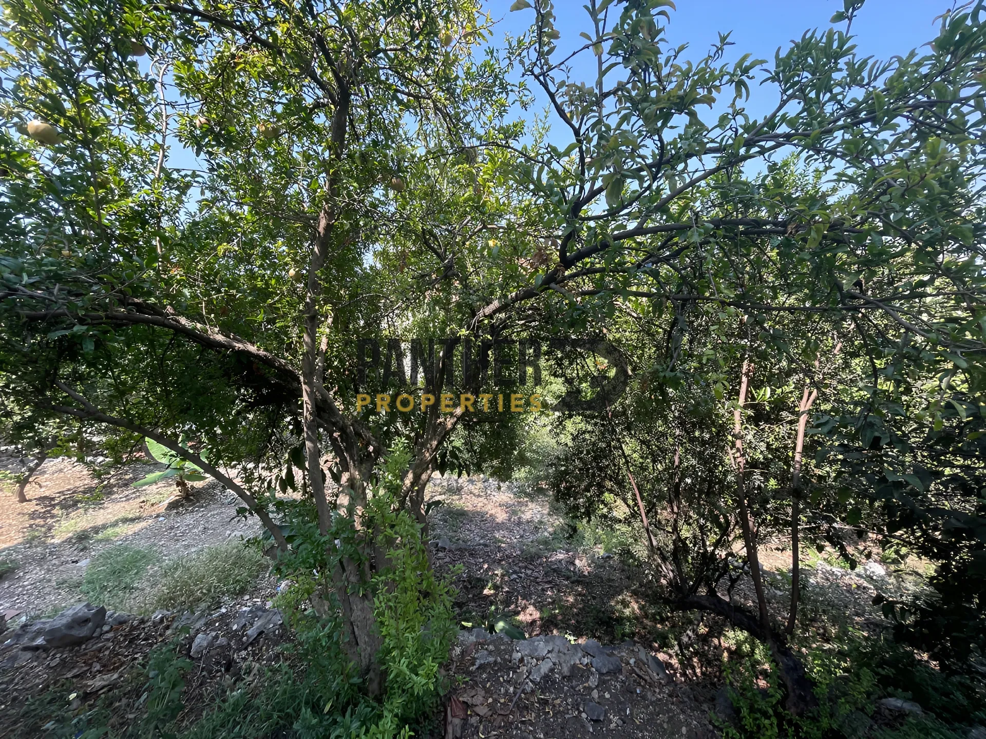 House for sale in Sahel Aalma