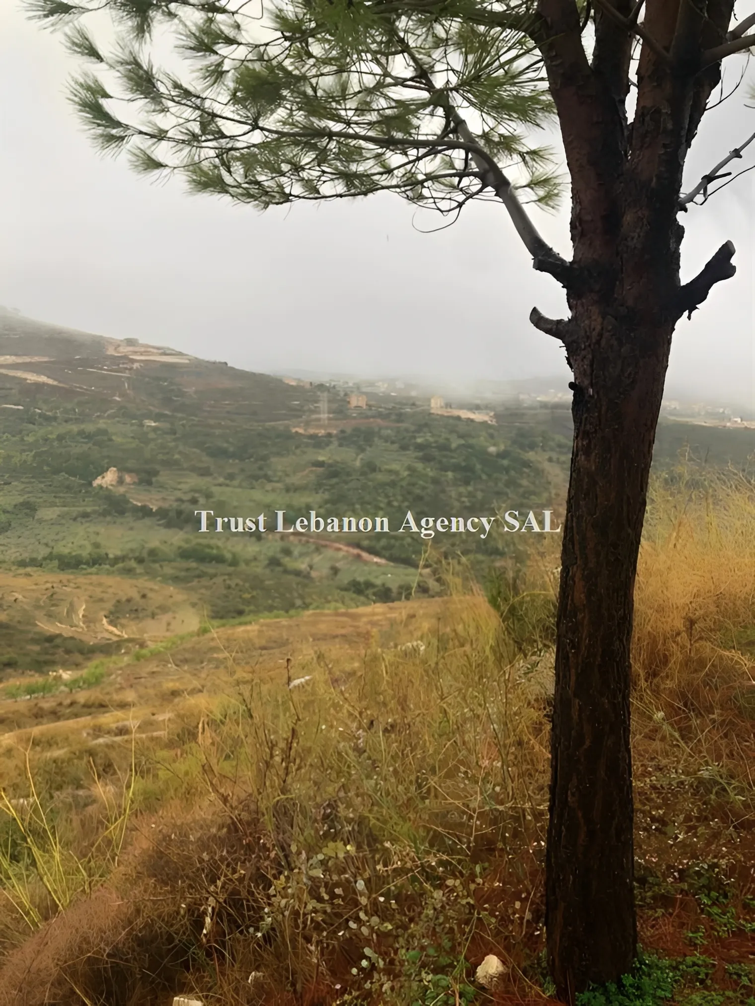 Land for Sale in South Jezzine Lebanon