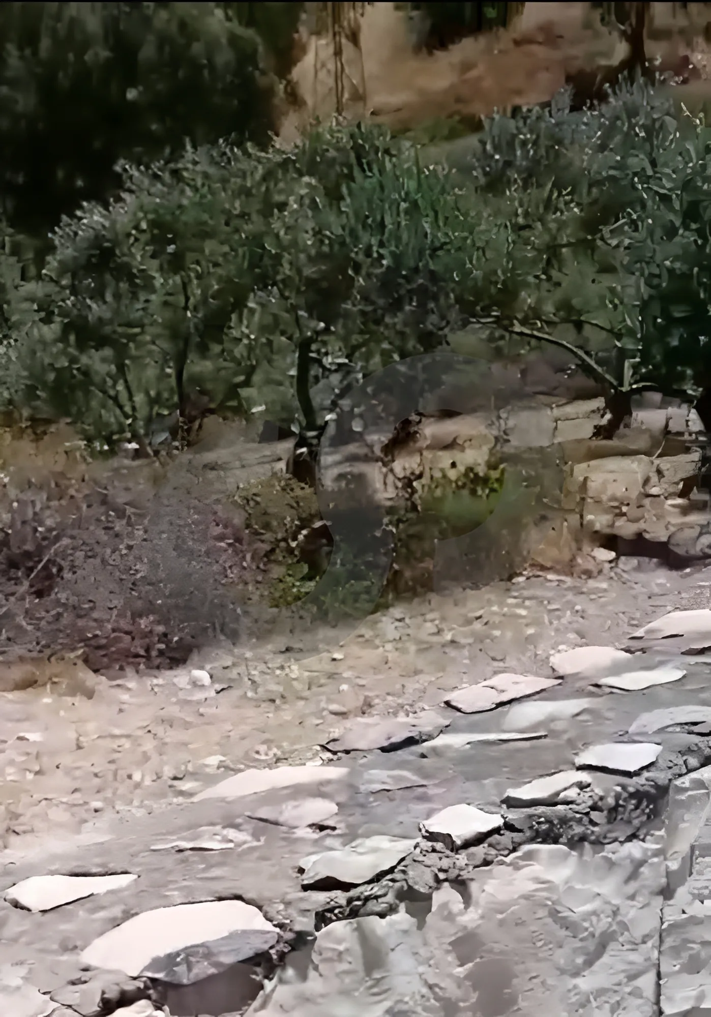 Land for Sale in Batroun