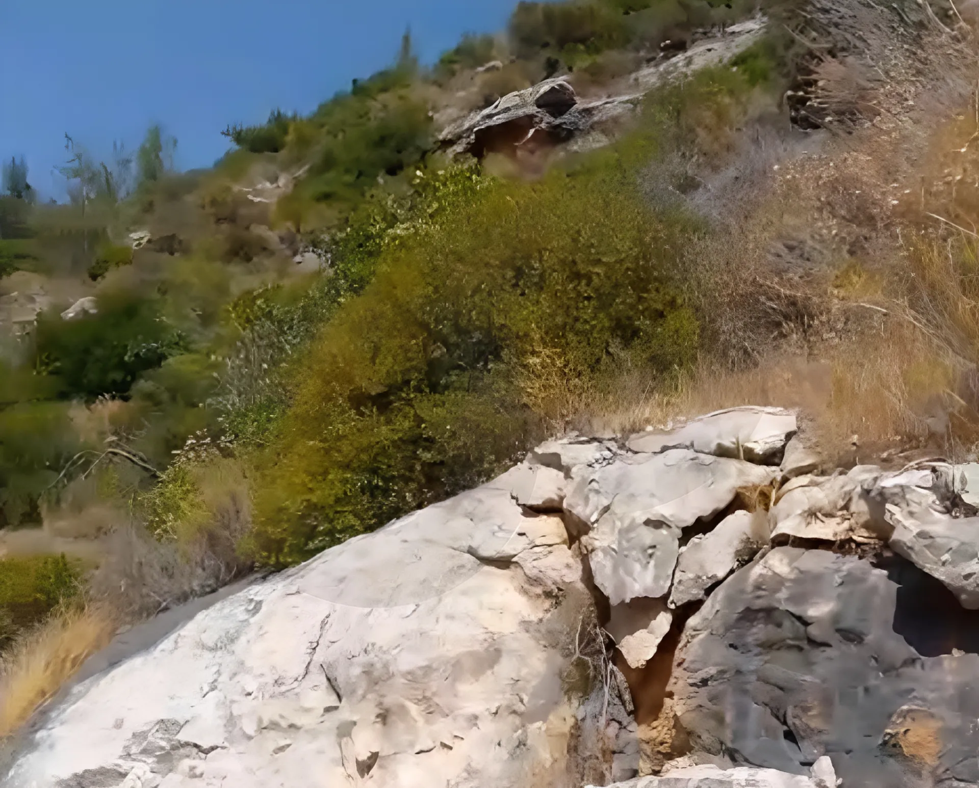 Land for Sale in Zgharta