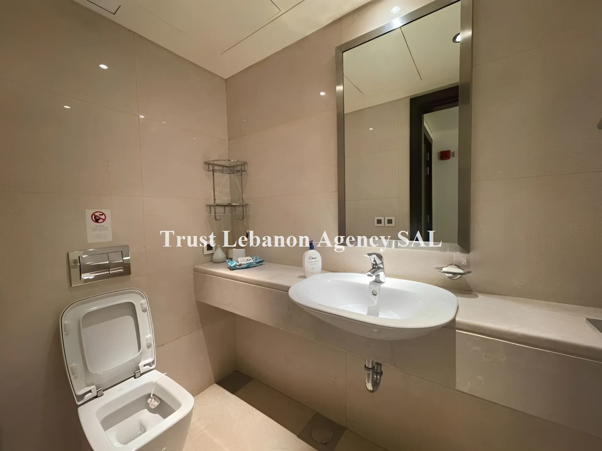 Chalet for Sale in Jnah Beirut Lebanon