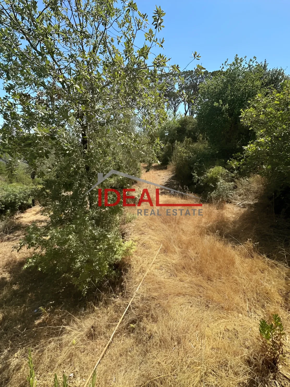 Land for Sale in Dmit, Lebanon