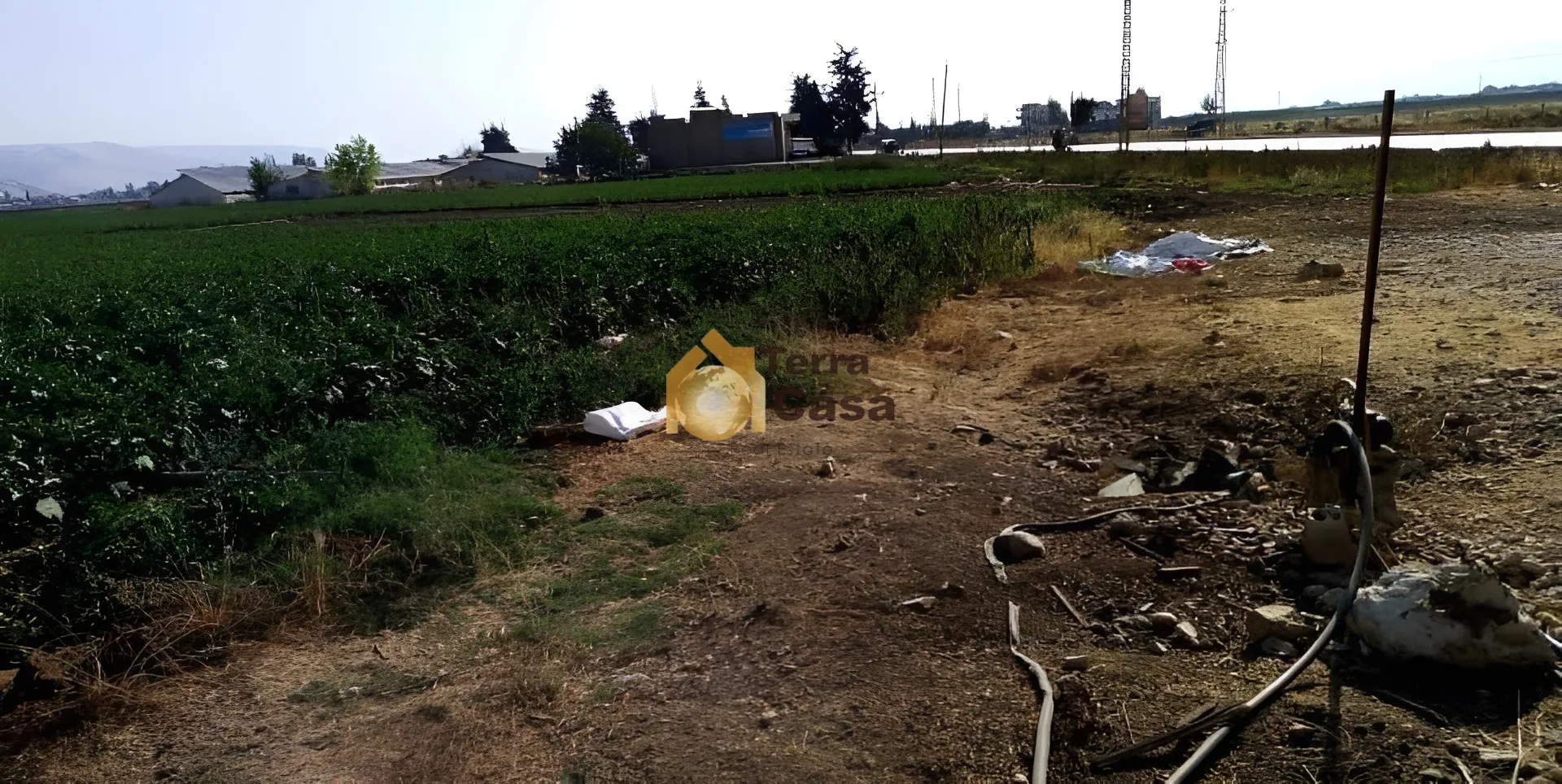 Land for Sale in Dalhamiye