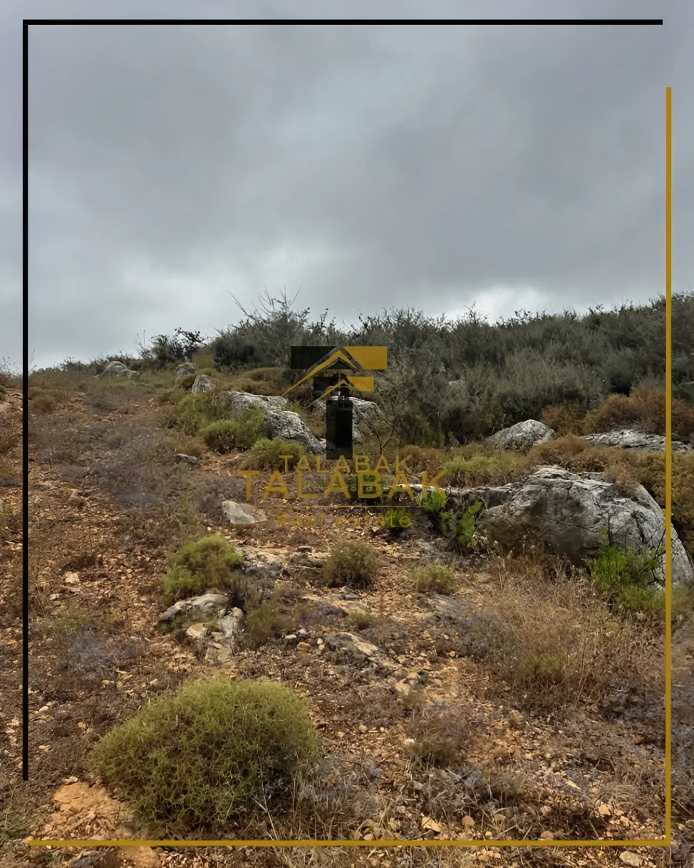 Residential Land for sale in Edde, Lebanon