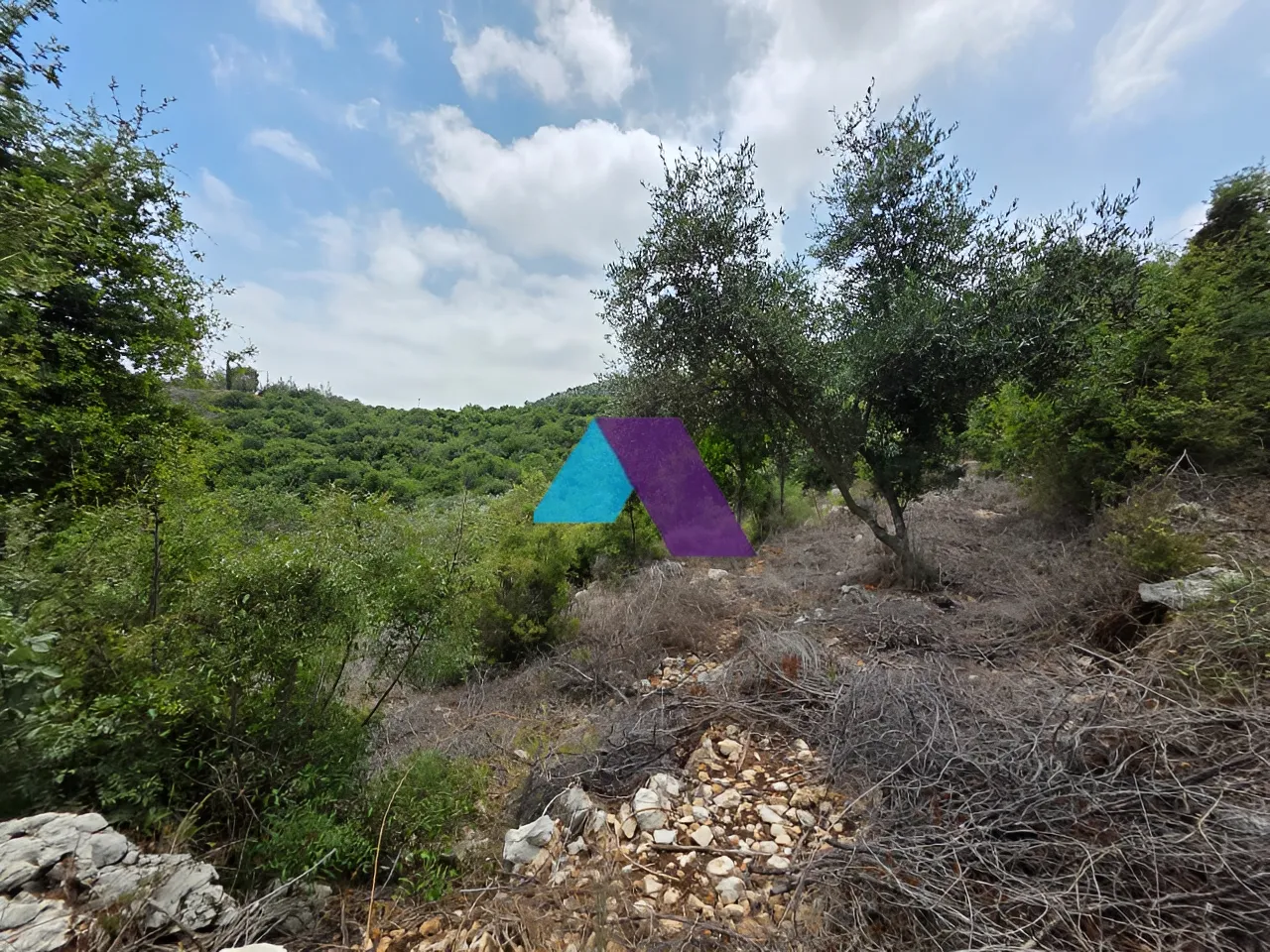 Land for Sale in Batroun