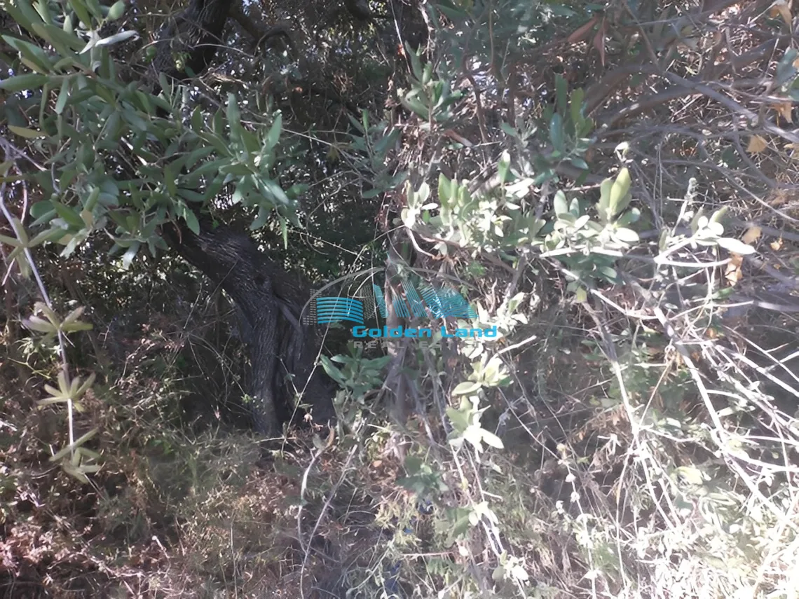 Land for Sale in Baabda, Lebanon