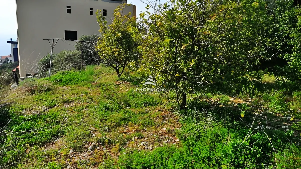 Land for Sale in Blat