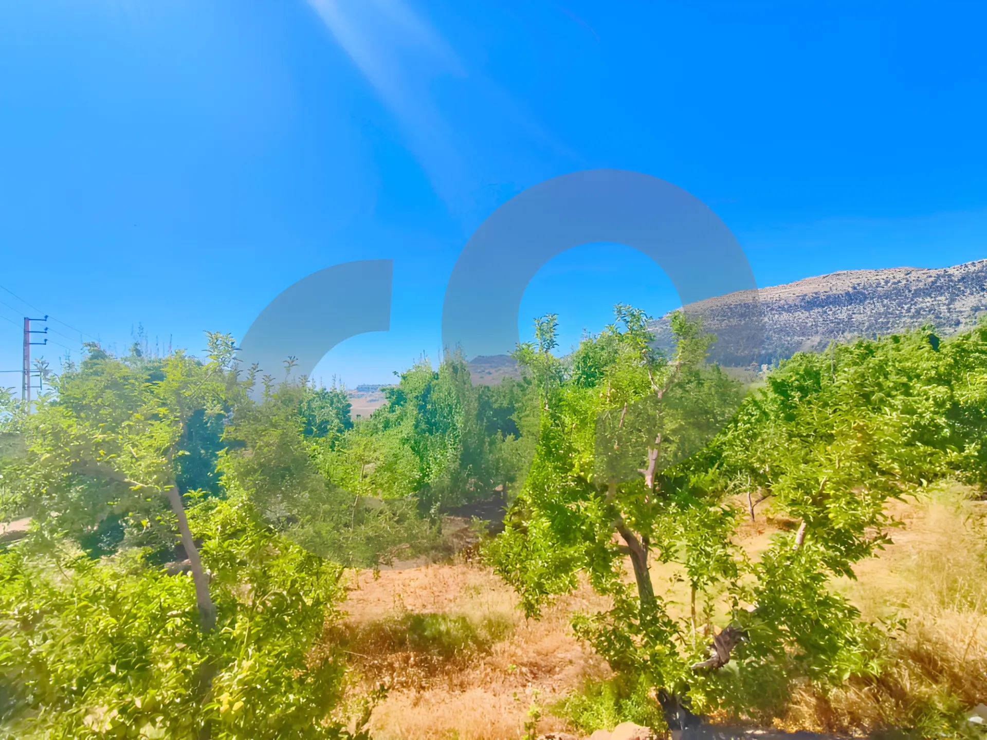 Land for Sale in Ehden