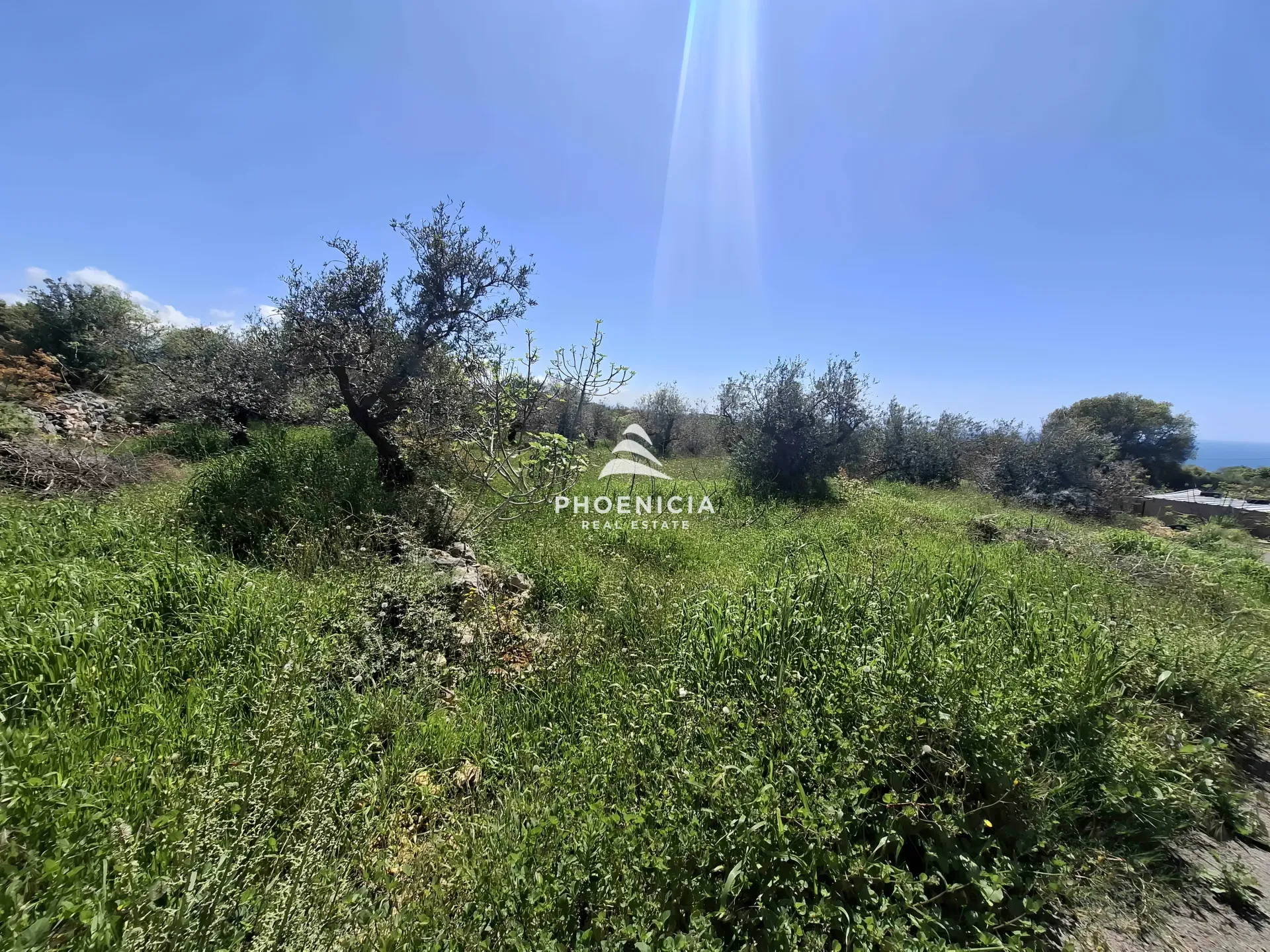 Land for Sale in Monsef