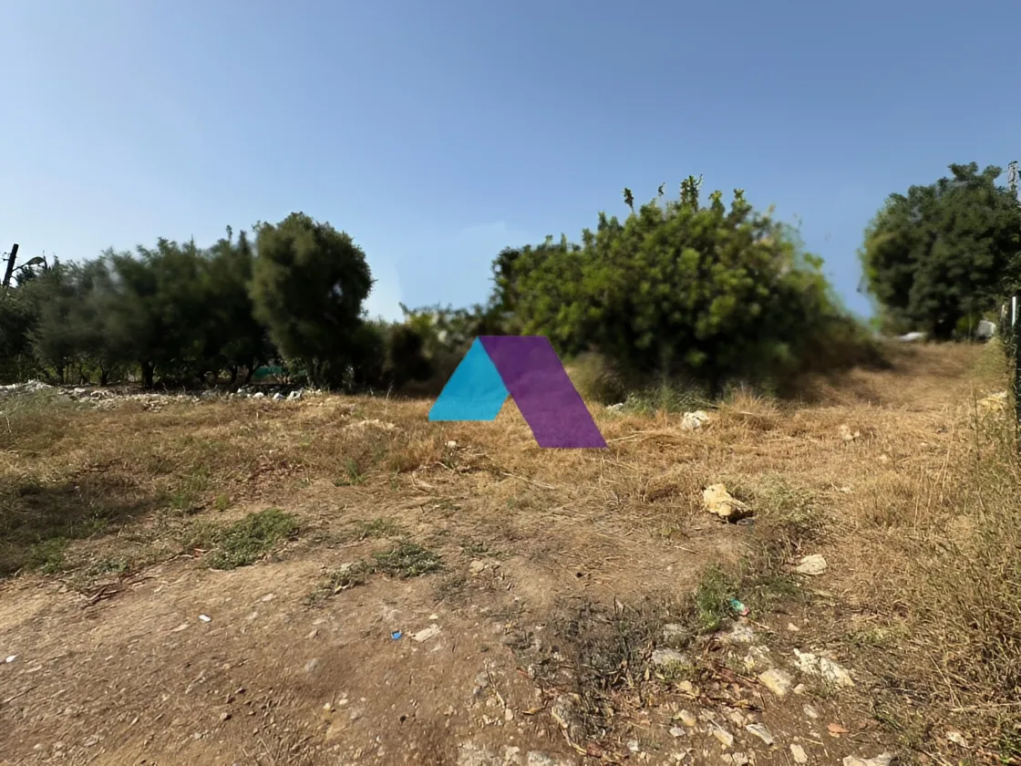 Land for Sale in Aamchit