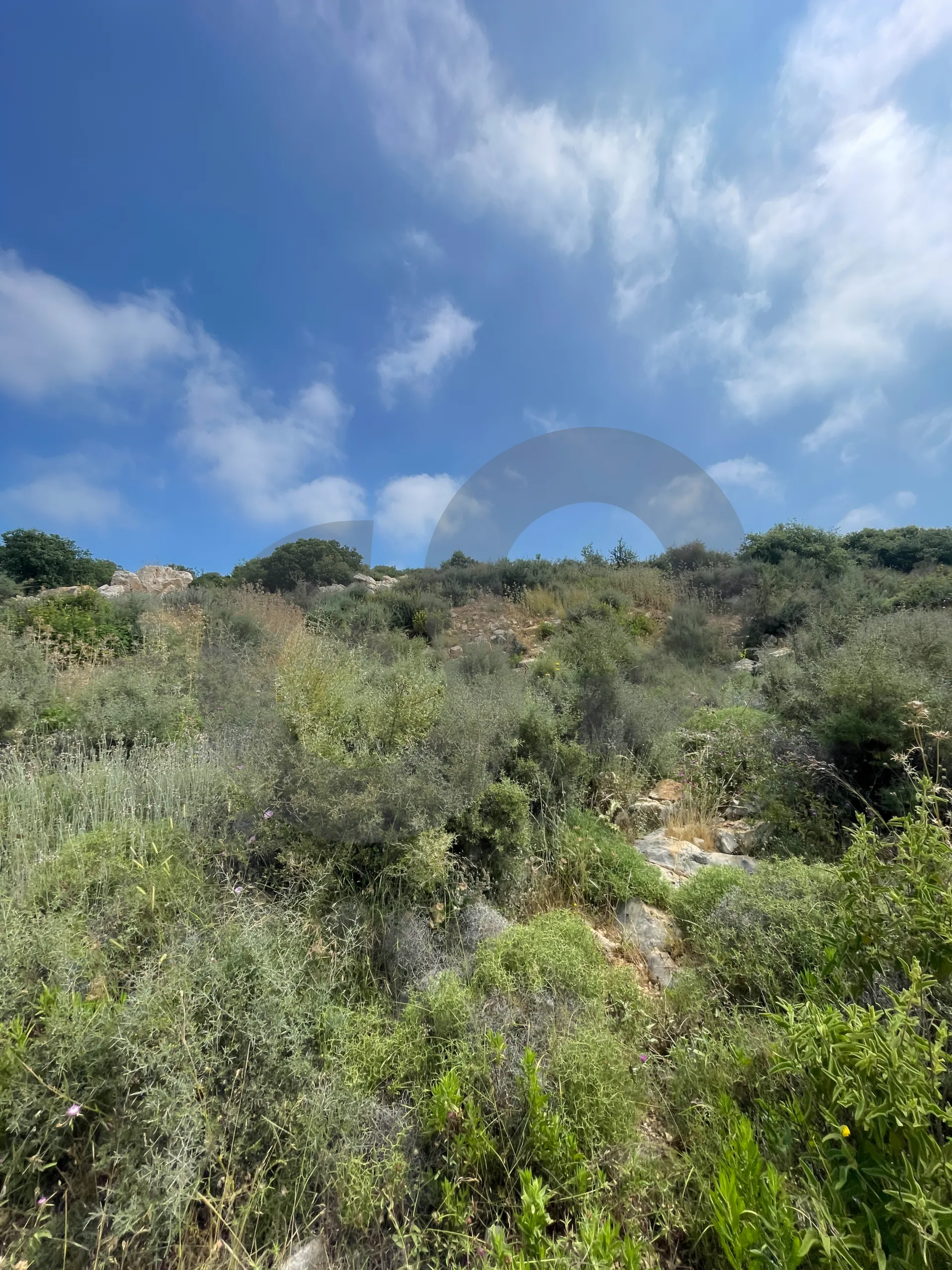 Land for Sale in Gharzouz