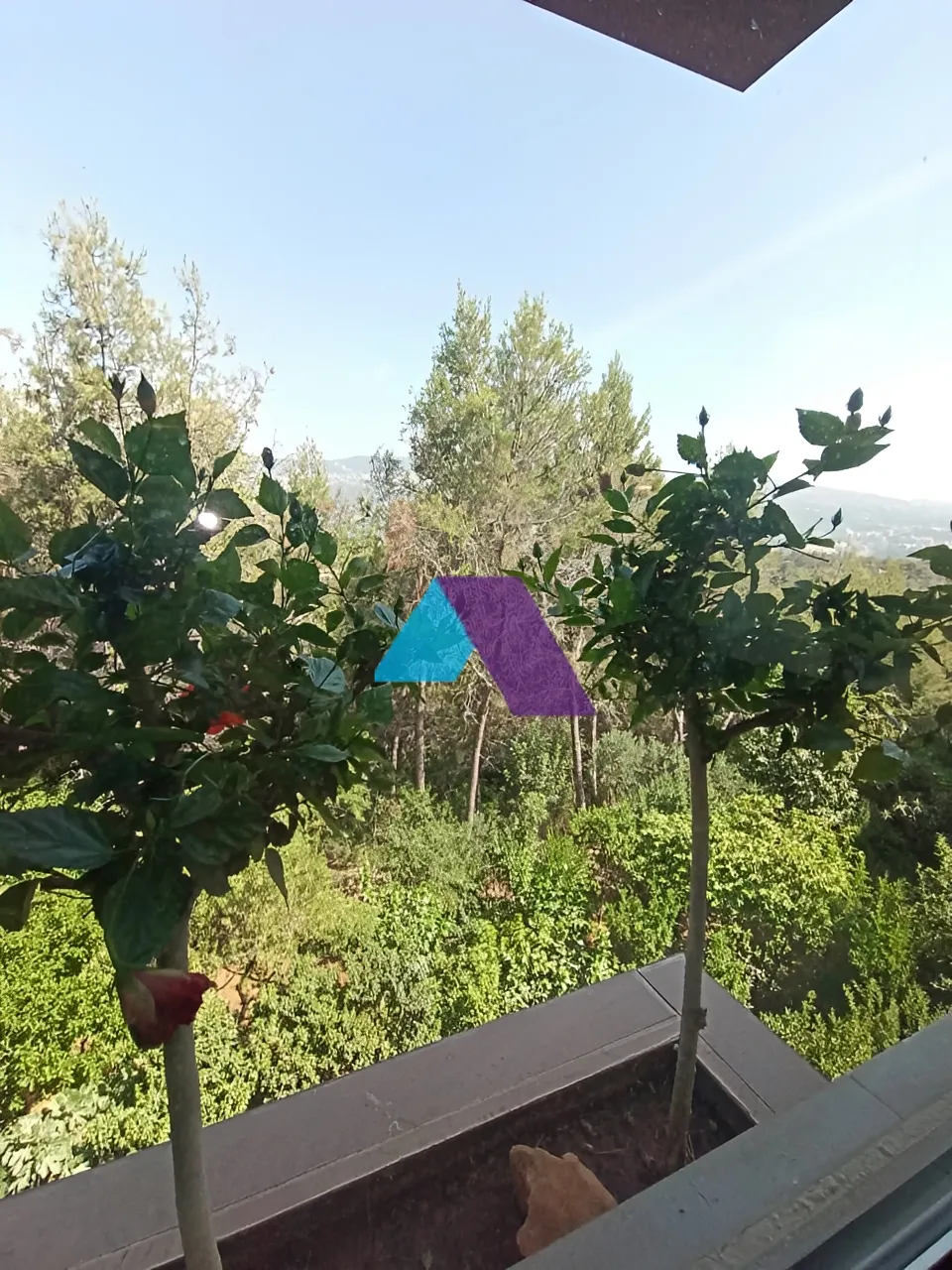Apartment for Sale in Yarzeh