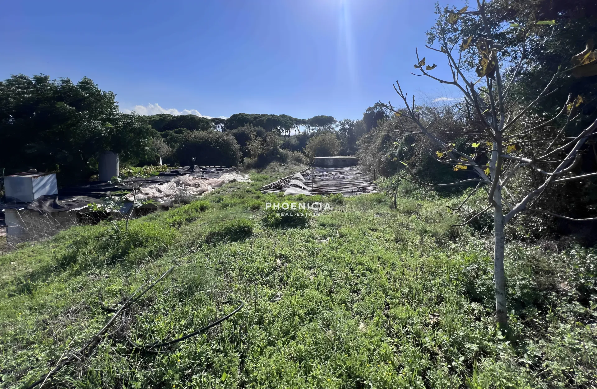 Land for Sale in Maad