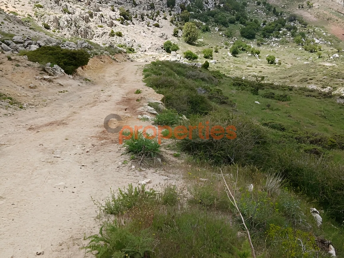 Residential Land for Sale in Ehmej