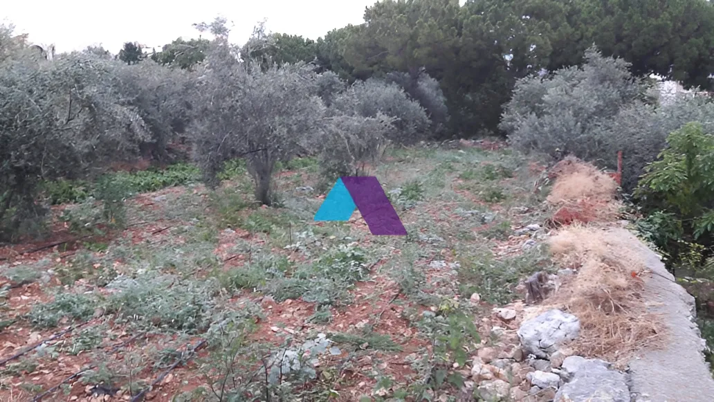 Land for Sale in Aamchit