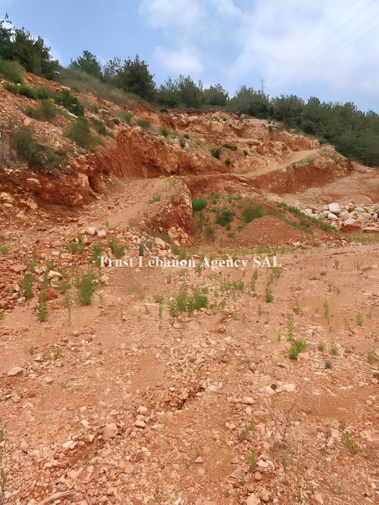 Land for Sale in Chouf Debbieh Lebanon