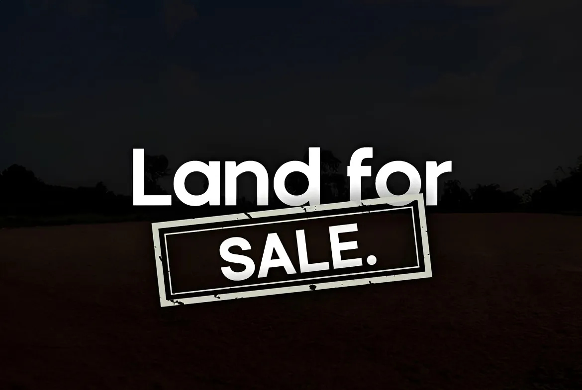 Land for Sale in Zebdine