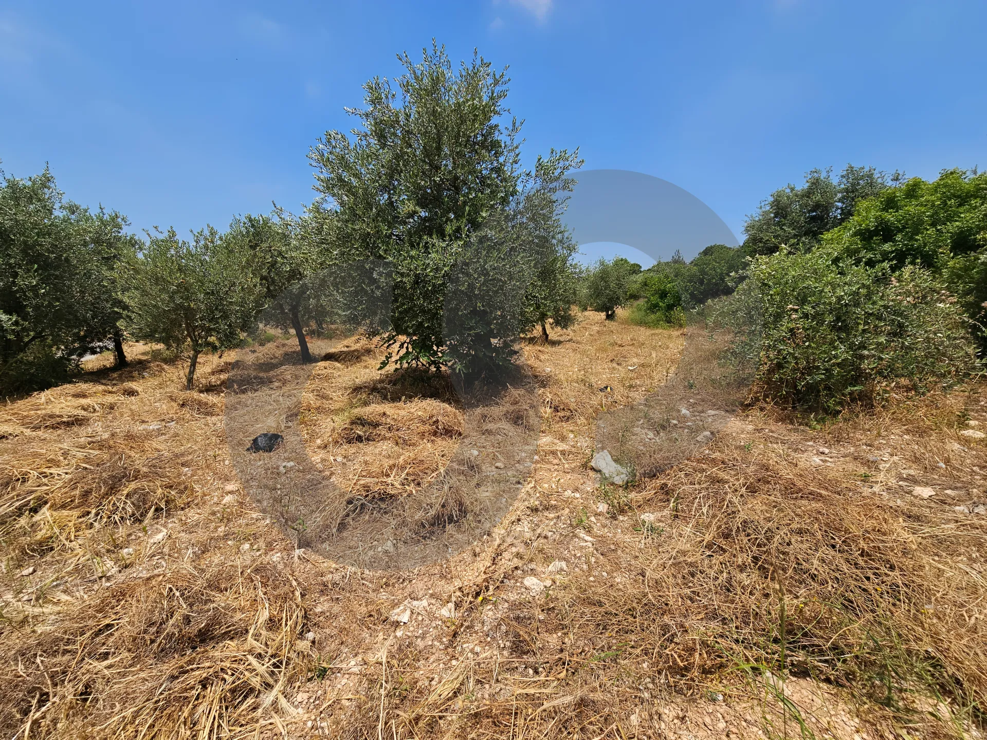 Land for Sale in Koura