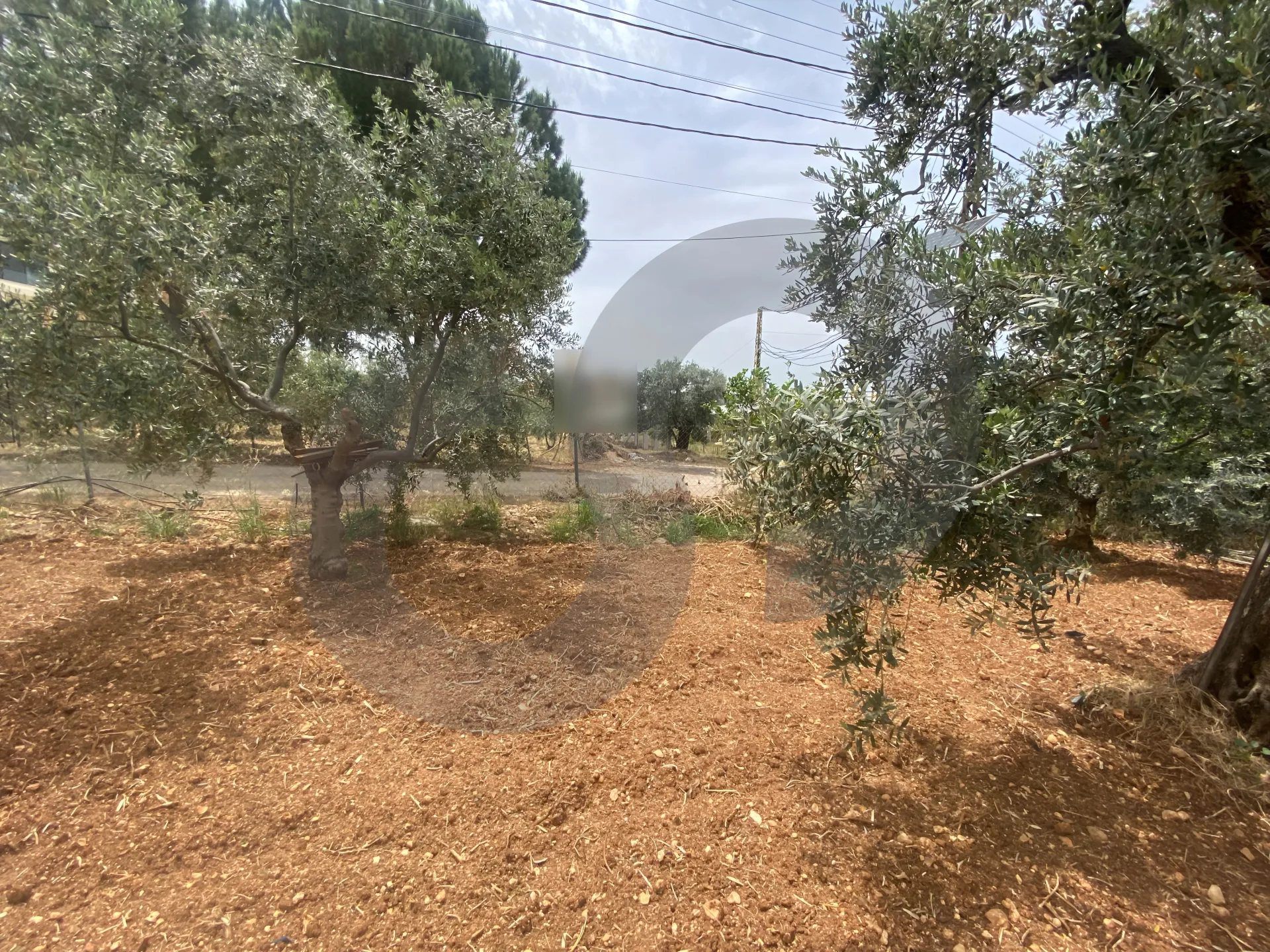 Land for Sale in Zgharta