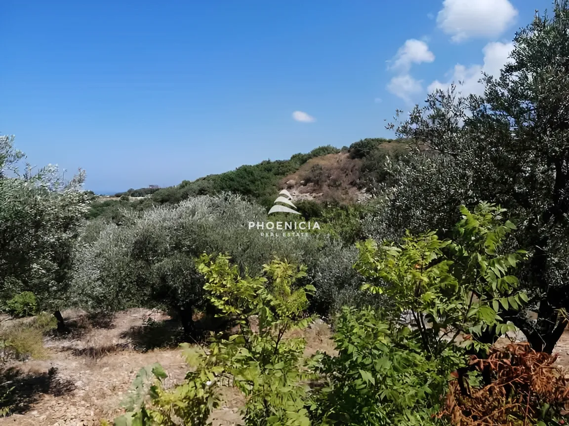 Land for Sale in Monsef